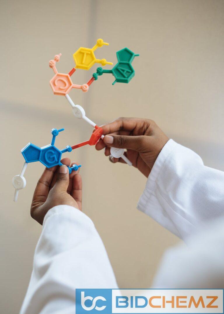 crop chemist holding in hands molecule model