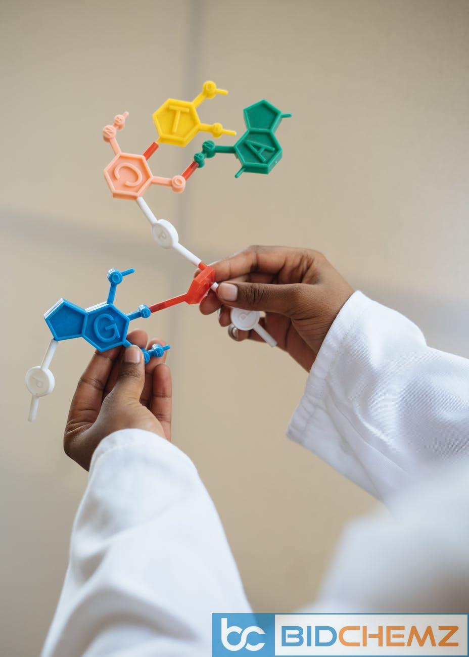 crop chemist holding in hands molecule model